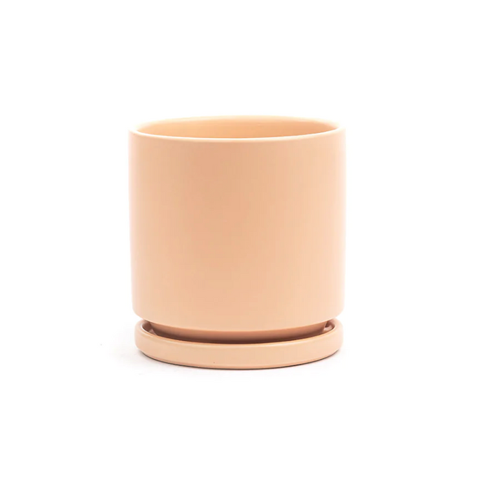 6.5" Gemstone Planter - Blush