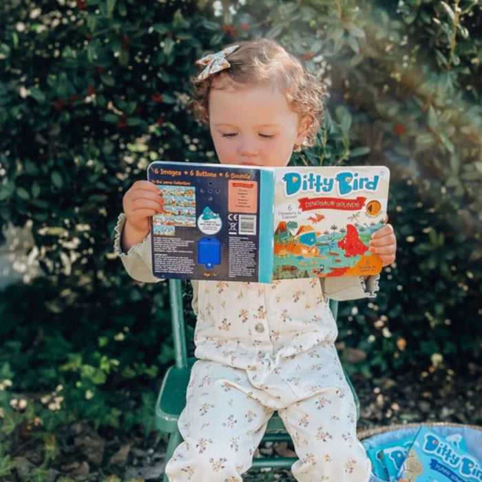 Ditty Bird Dinosaur Sounds Book - ebebek - Black Friday