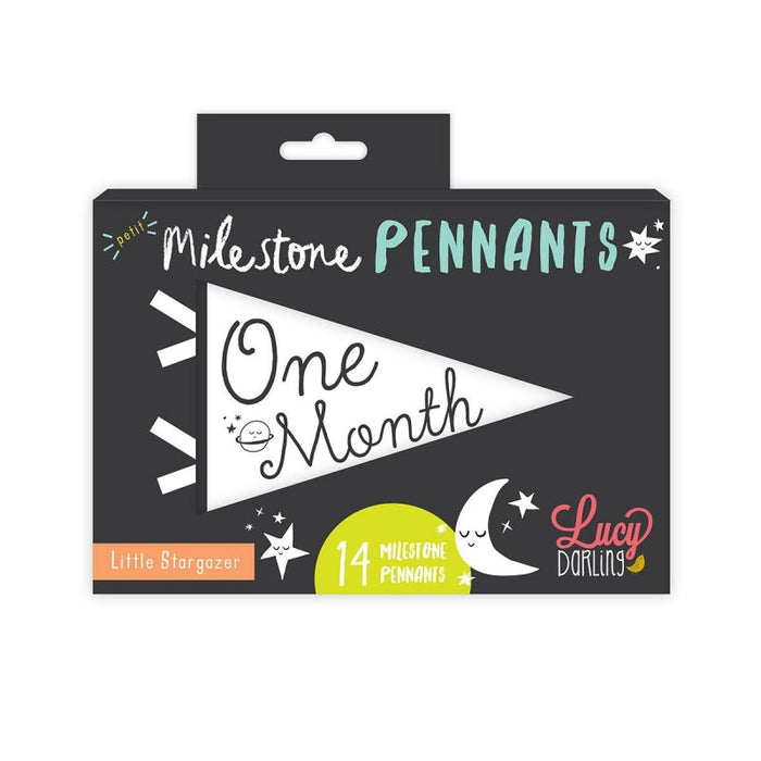 Little Stargazer Petit Milestone Pennants - Babies in Bloom