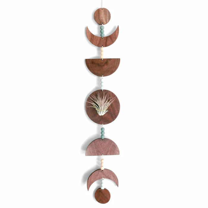 Walnut