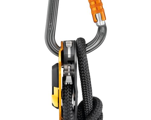 Petzl William D Carabiner, Triact-Lock Aluminum 25kN - Windows101