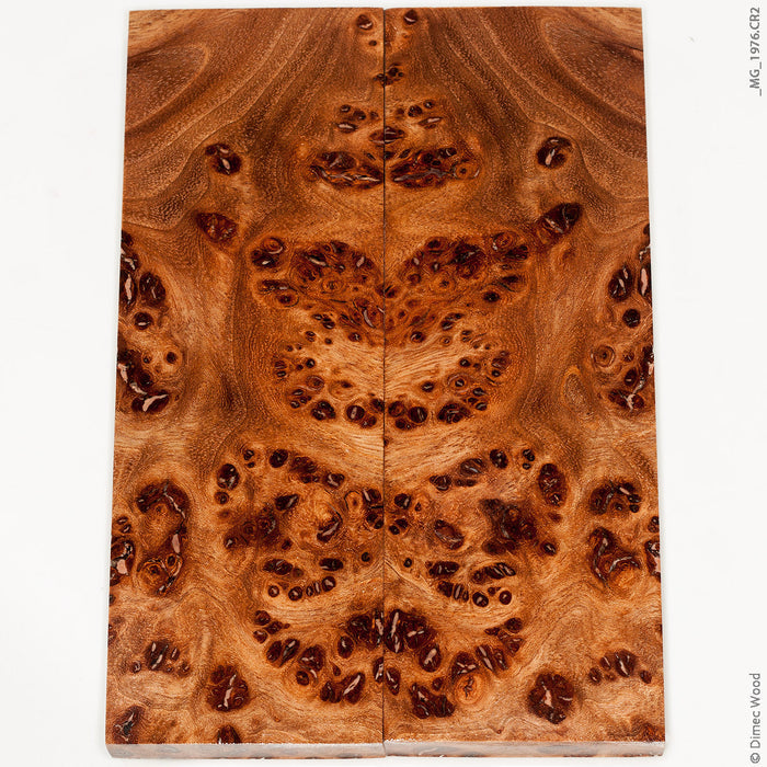 Stabilized wood elm burl panels
