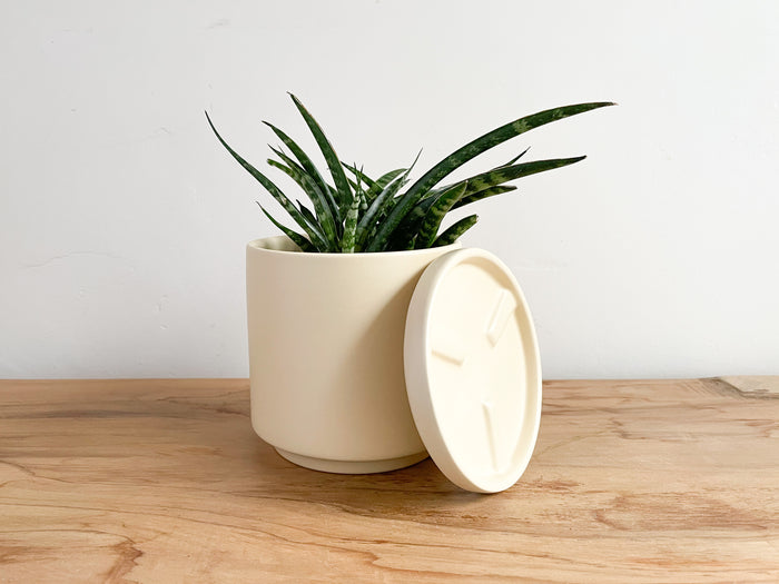 4.5" Gemstone Planter - Almond