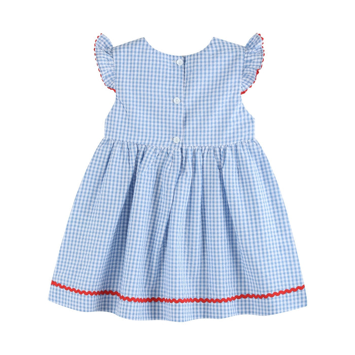 All American Girl' Blue Gingham Dress - Lil Cactus