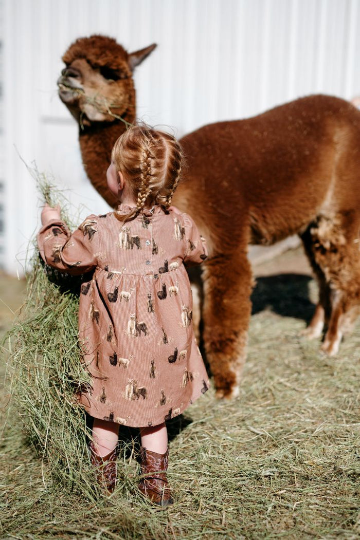 Alpaca Corduroy Dress & Bloomer