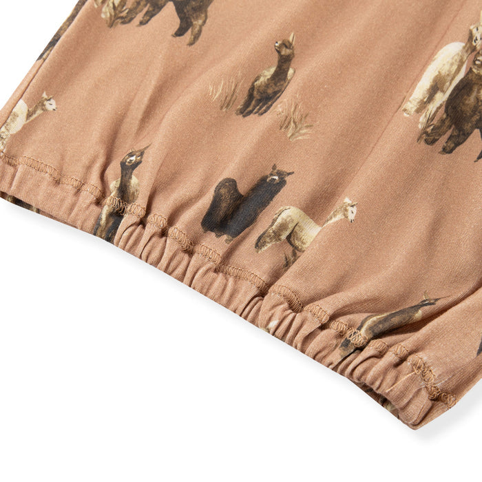 Alpaca Organic Cotton Newborn Gown & Hat Set - Babies in Bloom