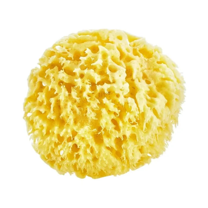 Babyjem Natural Sea Bath Sponge - ebebek - Black Friday