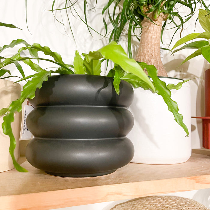 Black Bubble Planter