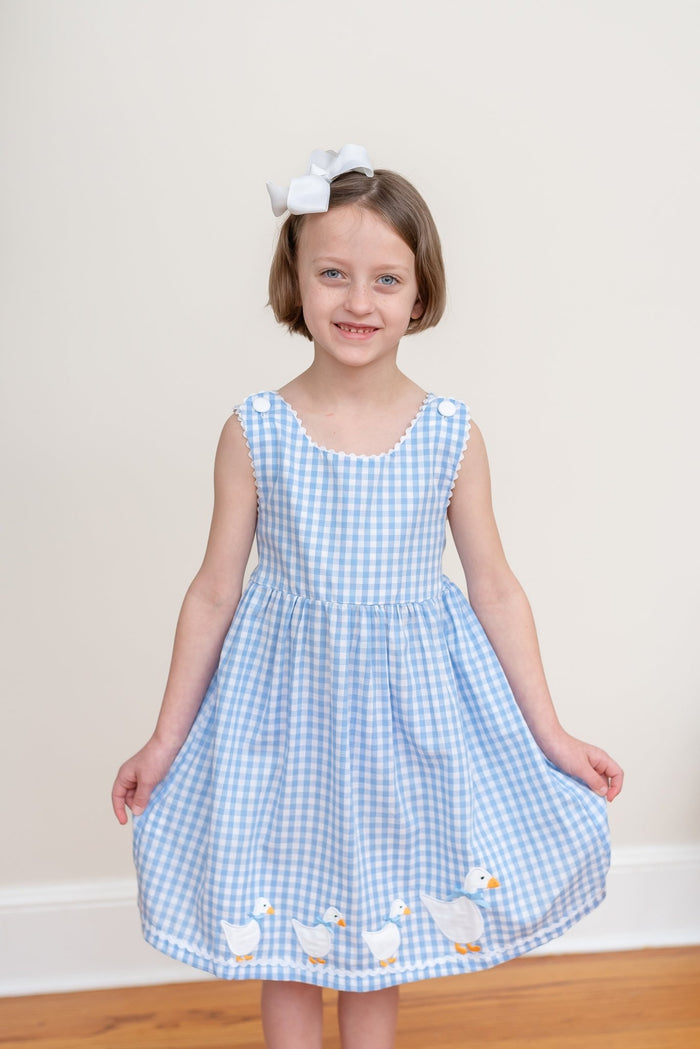 Blue Gingham Goose A Line Dress - Lil Cactus