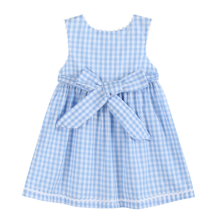 Blue Gingham Goose A Line Dress - Lil Cactus