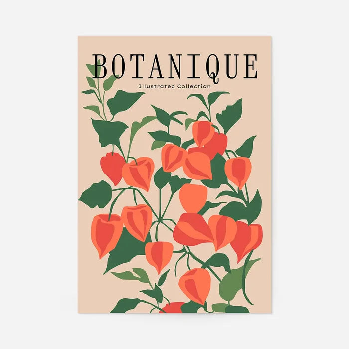 Botanique Illustrated Floral 40x50cm Clearance Print, unframed