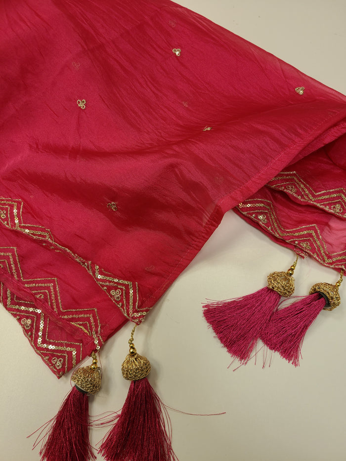 Bright Pink Anarkali-Style