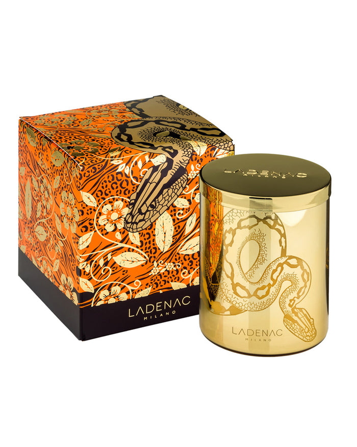 Candle in Jar AFRICA SNAKE 350gr