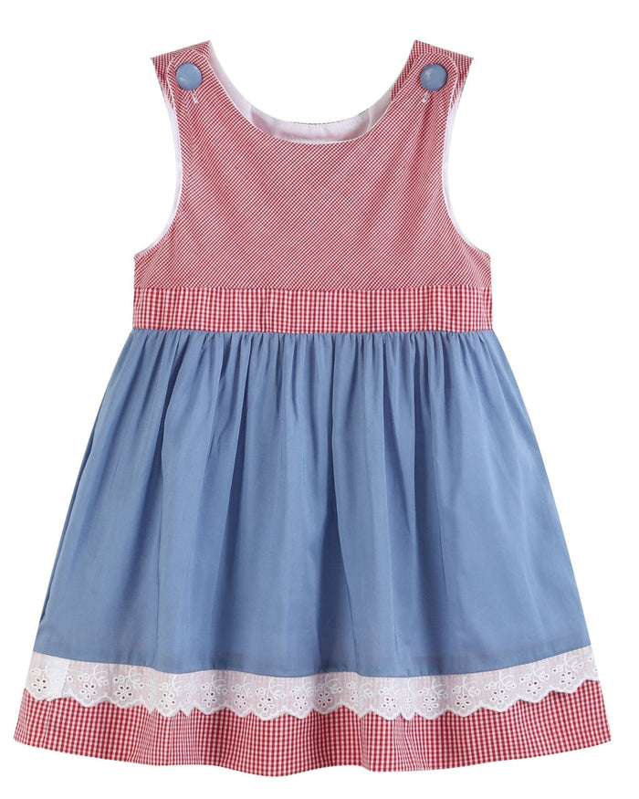 Denim Look and Red Gingham A - Line Dress - Lil Cactus