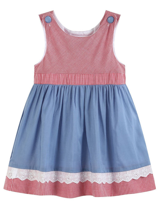 Denim Look and Red Gingham A - Line Dress - Lil Cactus