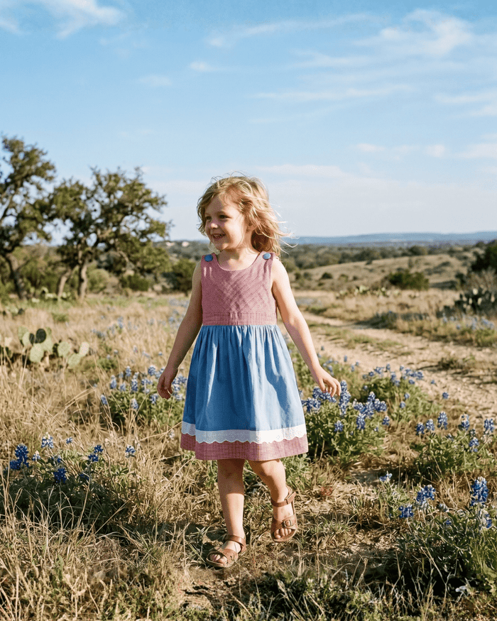 Denim Look and Red Gingham A - Line Dress - Lil Cactus