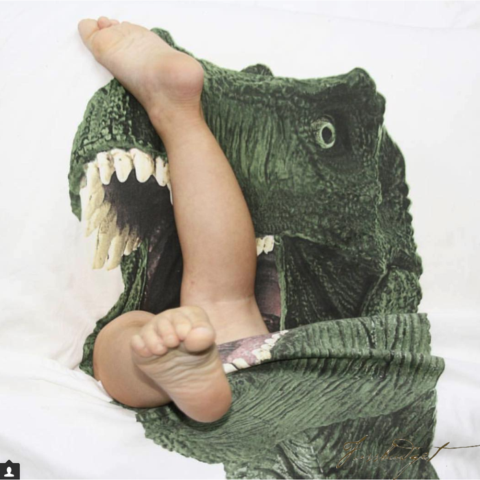Dinosaur Duvet Cover Set - Free Shipping-Fussbudget.com