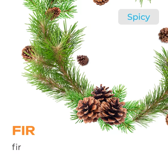 Element Earth Line Fir Hookah Flavors -