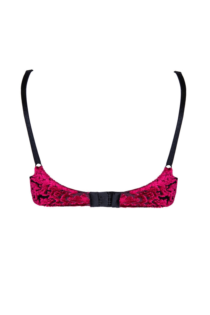Francesca ruby bra