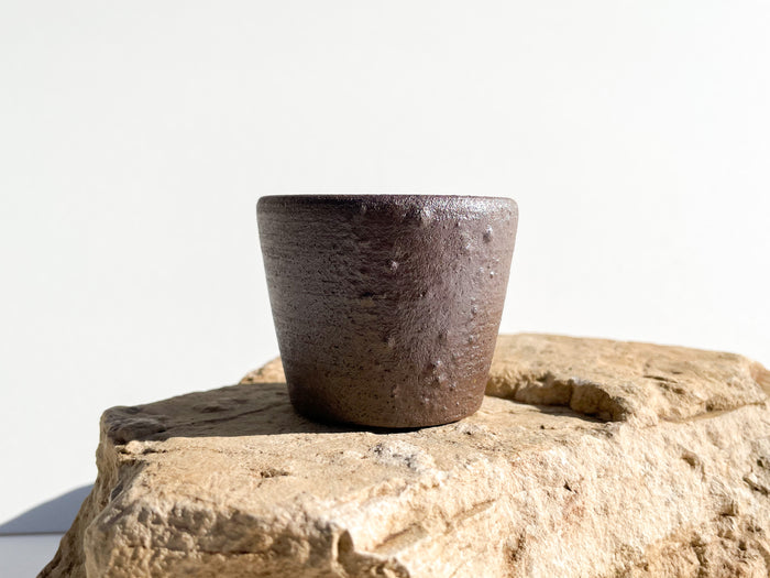 Gas-Fired Red Clay Pot
