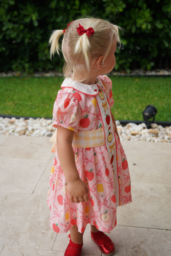 Gigi Back To School Girl Embroidered Dress