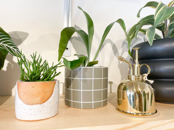 Grey Holmes Ceramic Planter