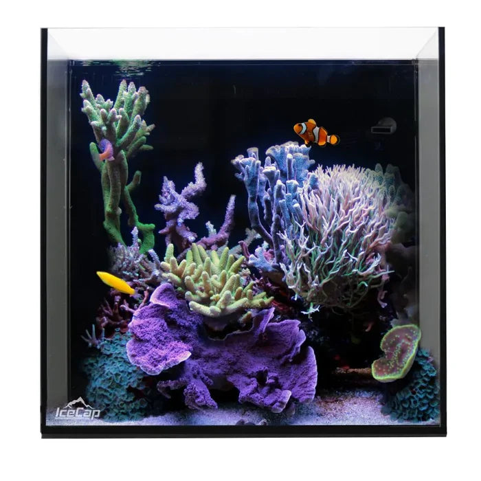 IceCap 20 Gallon Cube AIO Rimless Glass Aquarium