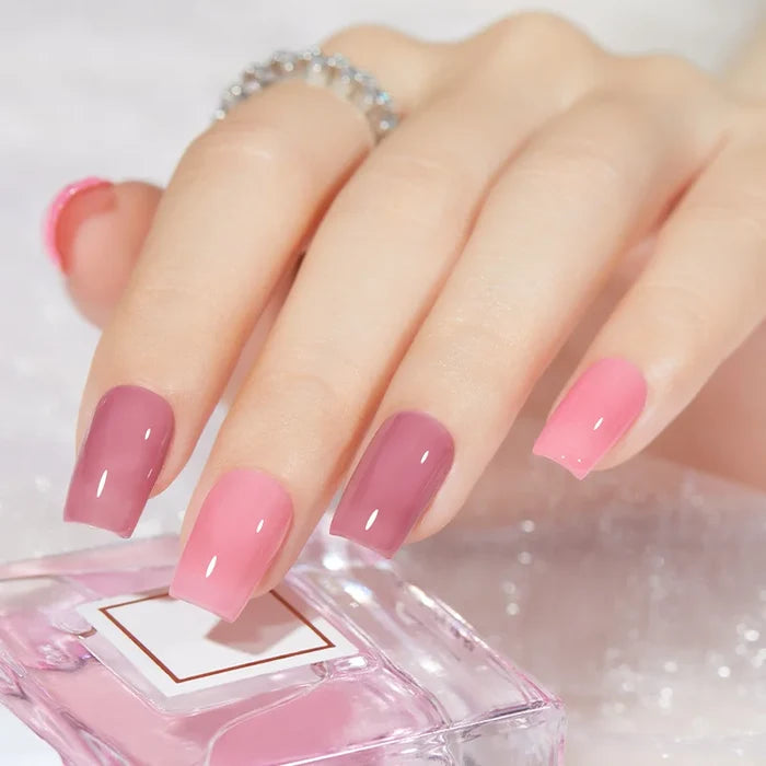 #jelly-chic