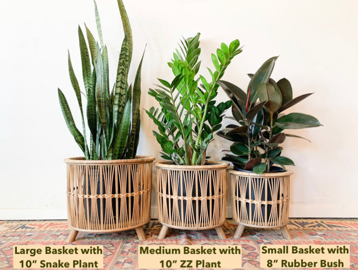 Jess Basket Stand