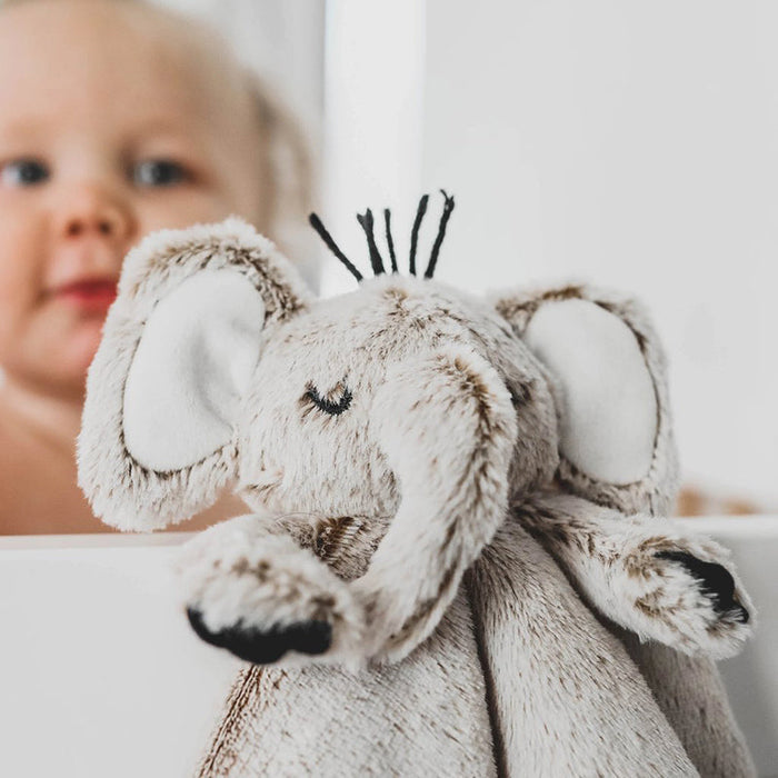 Little Animal Lover Lovey Blanket - Babies in Bloom