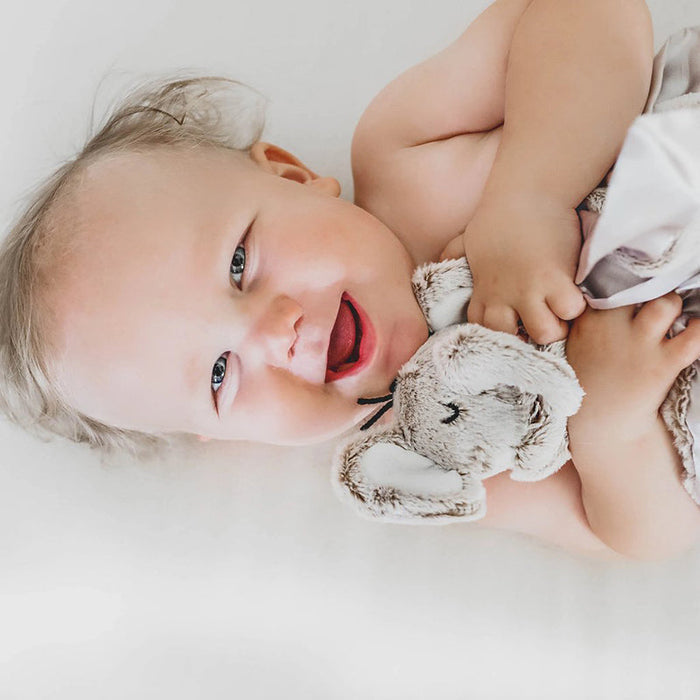Little Animal Lover Lovey Blanket - Babies in Bloom