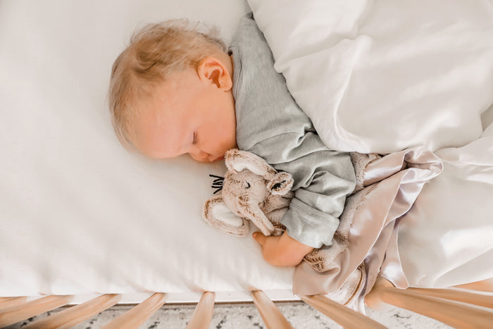 Little Animal Lover Lovey Blanket - Babies in Bloom
