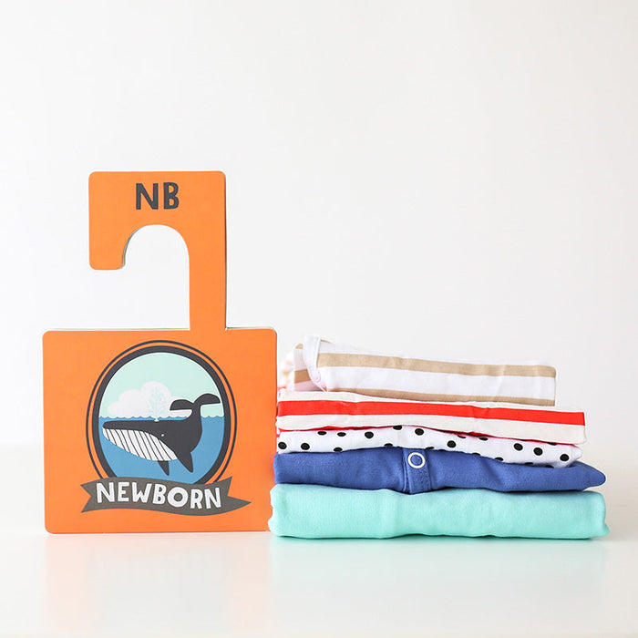 Little Captain Closet Dividers - Babies in Bloom