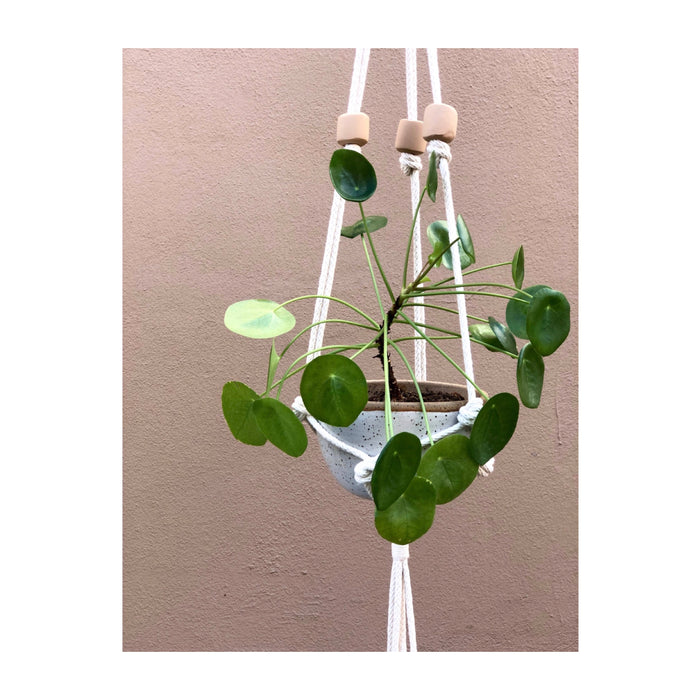 Little Feral Clay Bead Plant Hanger