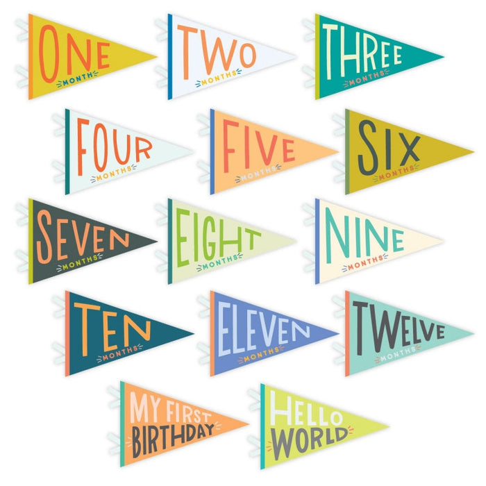 Little Kaleidoscope Petit Milestone Pennants - Babies in Bloom