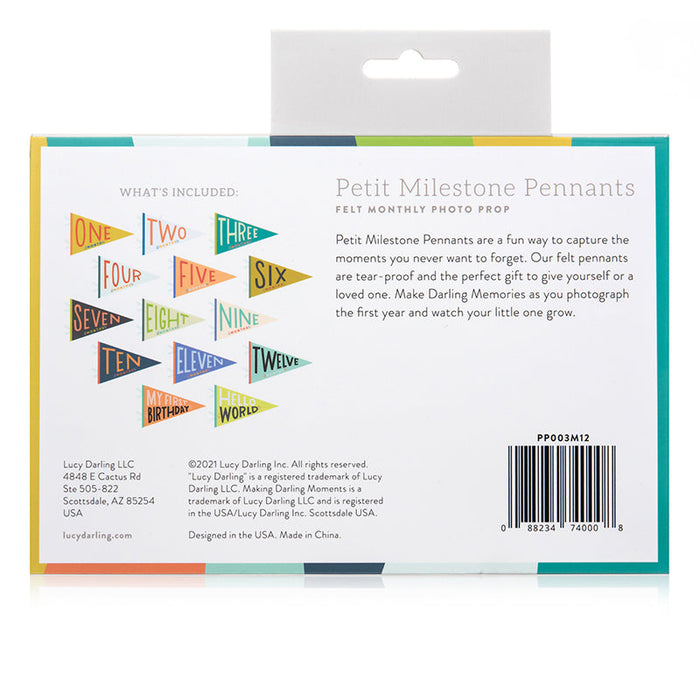 Little Kaleidoscope Petit Milestone Pennants - Babies in Bloom
