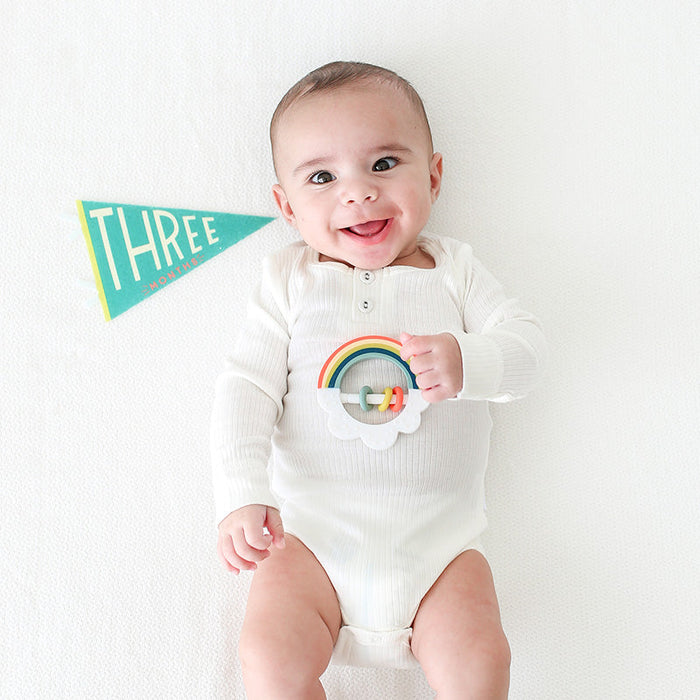 Little Kaleidoscope Petit Milestone Pennants - Babies in Bloom