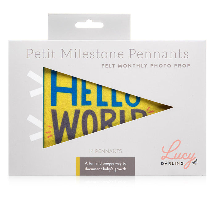 Little Kaleidoscope Petit Milestone Pennants - Babies in Bloom