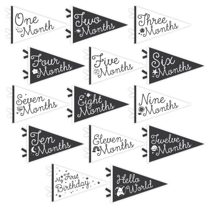 Little Stargazer Petit Milestone Pennants - Babies in Bloom