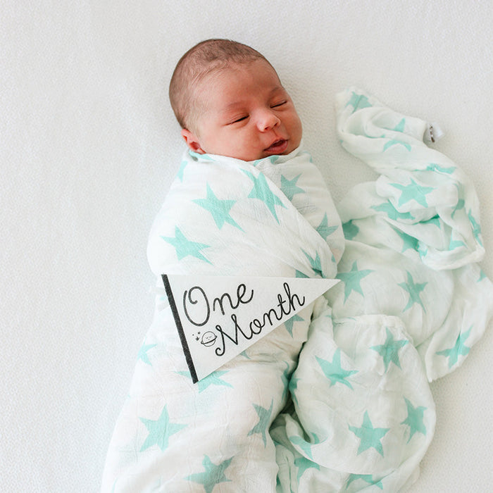Little Stargazer Petit Milestone Pennants - Babies in Bloom