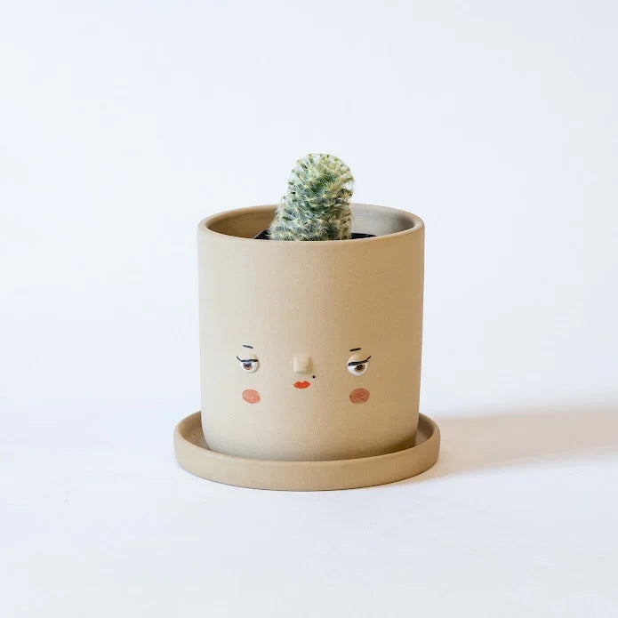 Lucy Faceplanter
