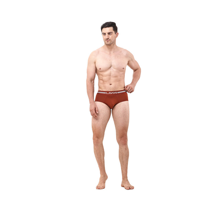 Warm Chestnut / S