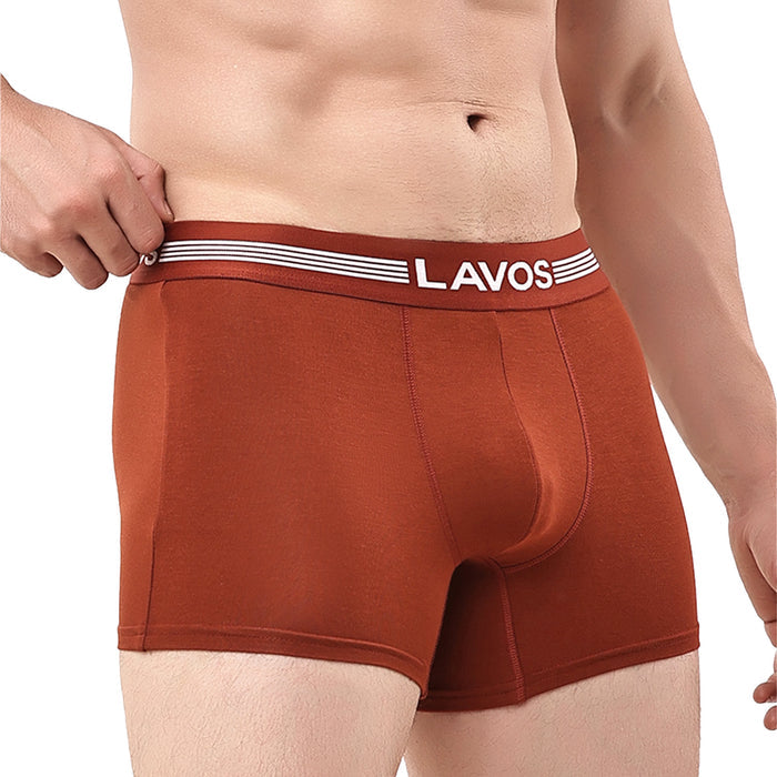 Warm Chestnut / L