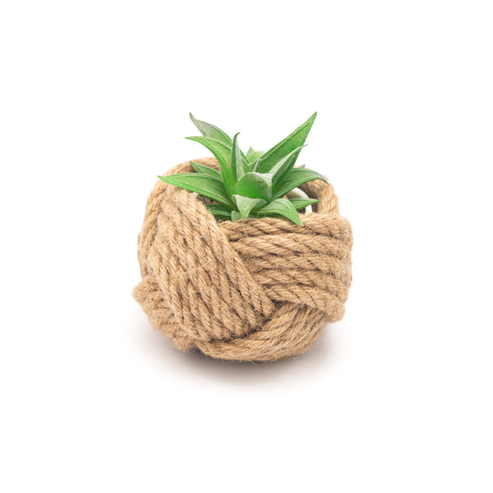 Mini jute rope planter in a natural tan color, styled with a small succulent plant or used to hold jewelry on a neutral surface