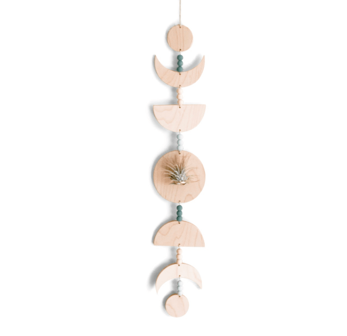 Moon Phases Holder With Air Plant