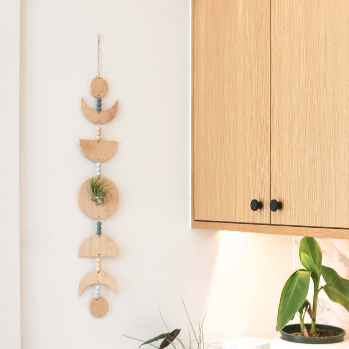 Moon Phases Holder With Air Plant