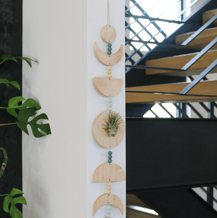Moon Phases Holder With Air Plant