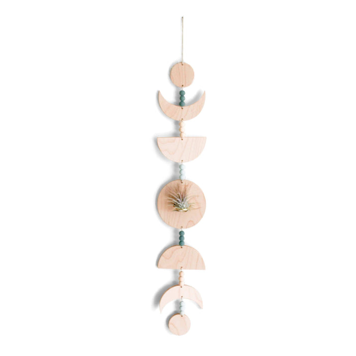 Moon Phases Holder With Air Plant