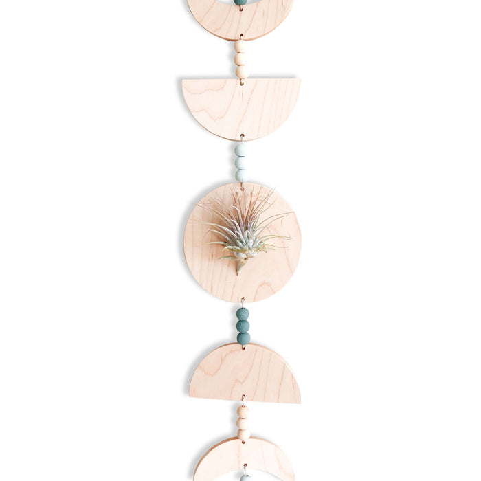 Moon Phases Holder With Air Plant