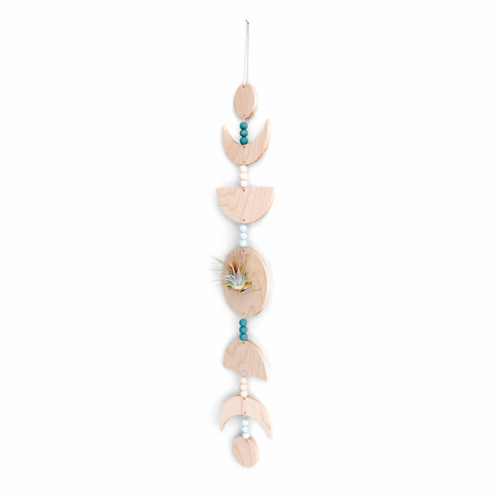 Moon Phases Holder With Air Plant